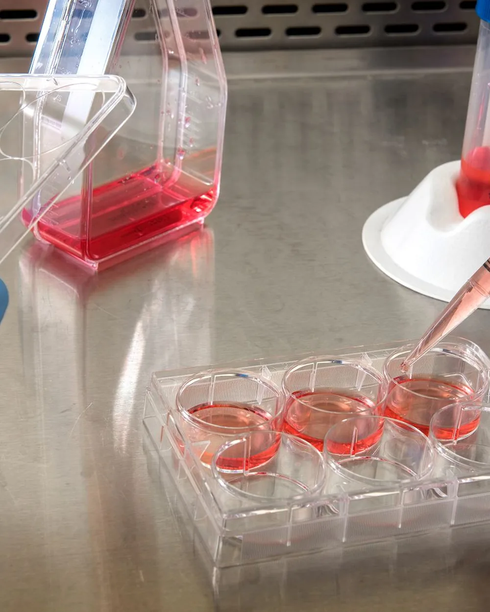 Cell-culture plates and a flask being filled by pipette